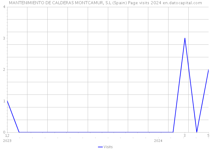MANTENIMIENTO DE CALDERAS MONTCAMUR, S.L (Spain) Page visits 2024 
