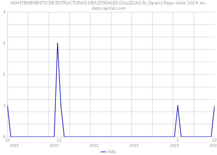 MANTENIMIENTO DE ESTRUCTURAS INDUSTRIALES GALLEGAS SL (Spain) Page visits 2024 