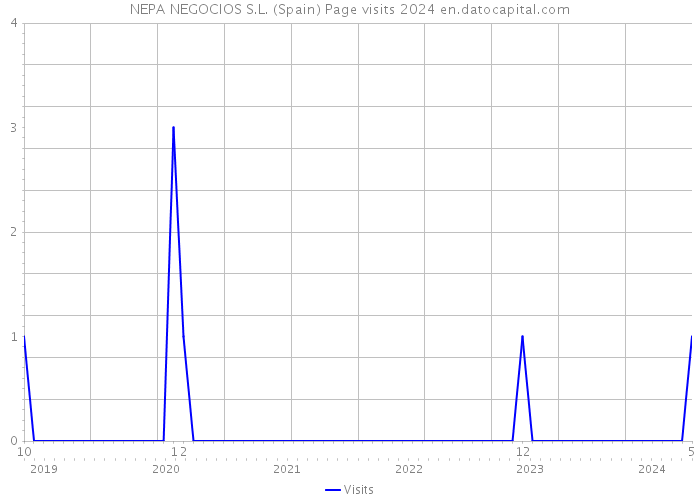NEPA NEGOCIOS S.L. (Spain) Page visits 2024 