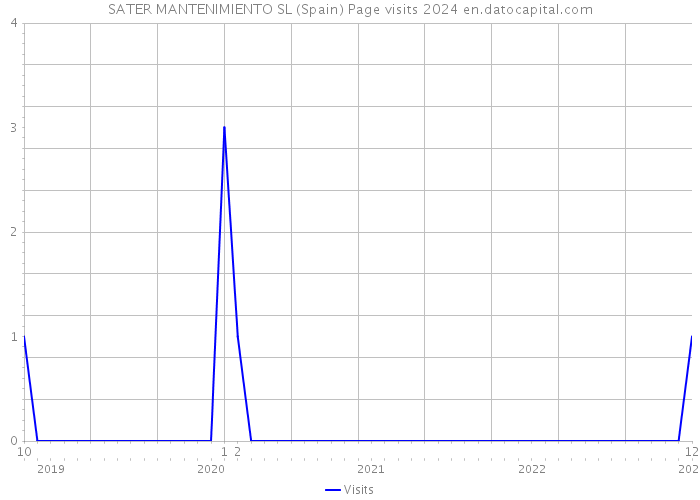 SATER MANTENIMIENTO SL (Spain) Page visits 2024 