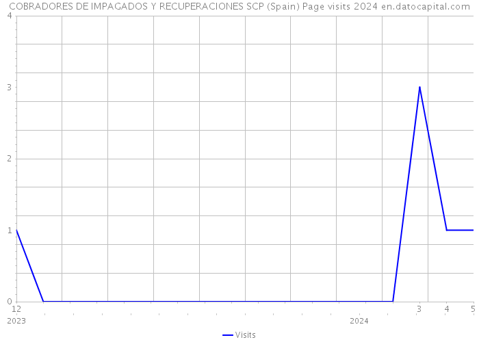 COBRADORES DE IMPAGADOS Y RECUPERACIONES SCP (Spain) Page visits 2024 