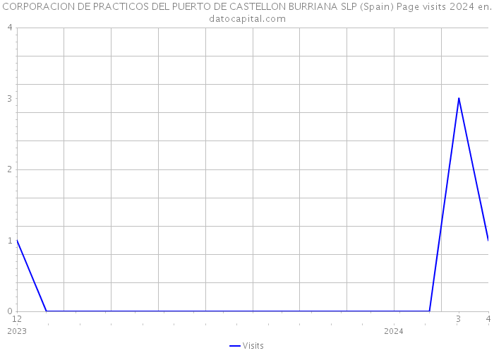 CORPORACION DE PRACTICOS DEL PUERTO DE CASTELLON BURRIANA SLP (Spain) Page visits 2024 