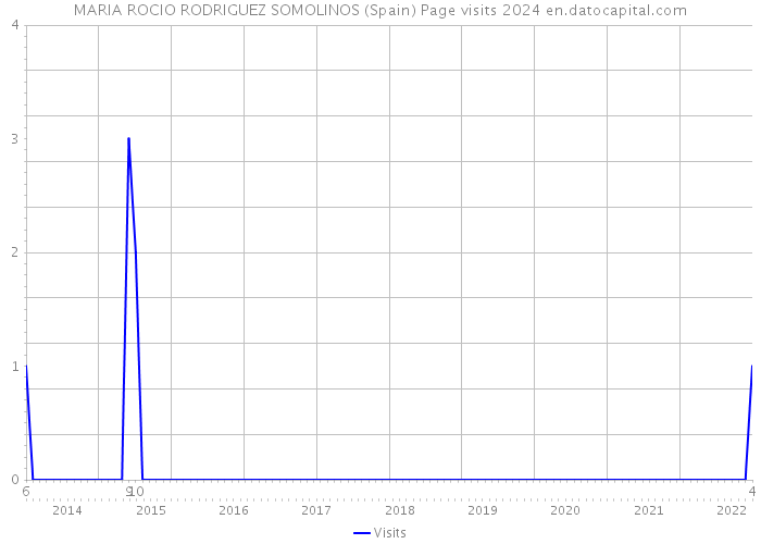 MARIA ROCIO RODRIGUEZ SOMOLINOS (Spain) Page visits 2024 