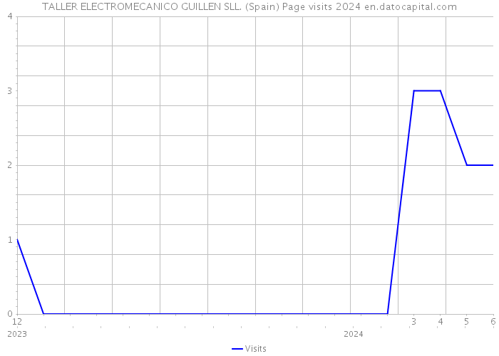 TALLER ELECTROMECANICO GUILLEN SLL. (Spain) Page visits 2024 