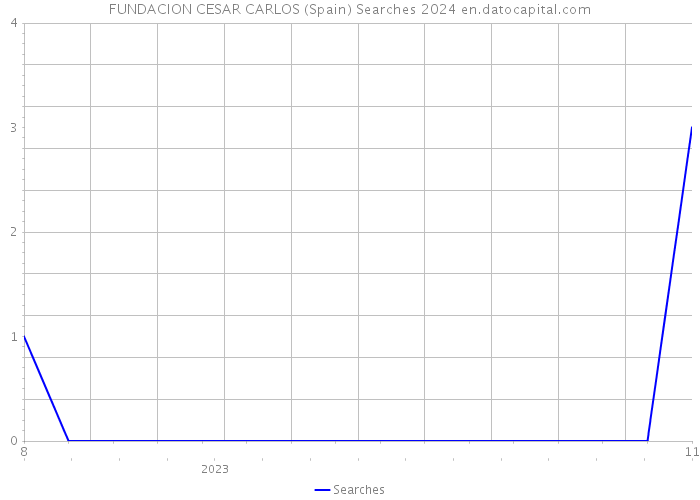 FUNDACION CESAR CARLOS (Spain) Searches 2024 