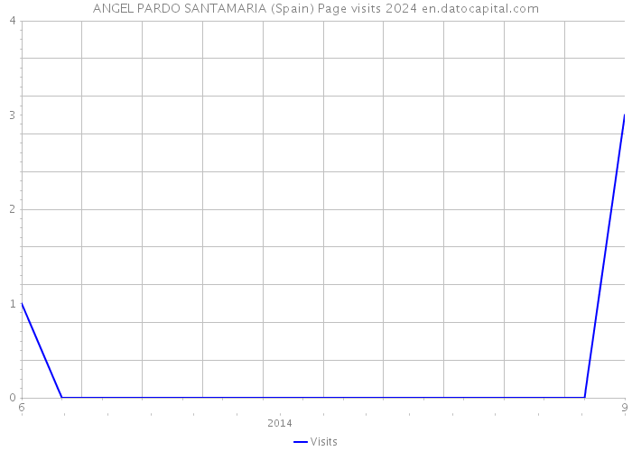 ANGEL PARDO SANTAMARIA (Spain) Page visits 2024 