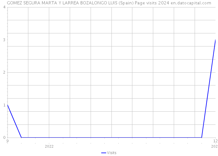 GOMEZ SEGURA MARTA Y LARREA BOZALONGO LUIS (Spain) Page visits 2024 