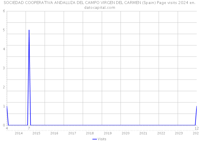 SOCIEDAD COOPERATIVA ANDALUZA DEL CAMPO VIRGEN DEL CARMEN (Spain) Page visits 2024 