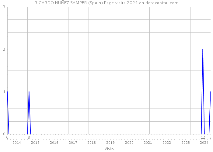 RICARDO NUÑEZ SAMPER (Spain) Page visits 2024 