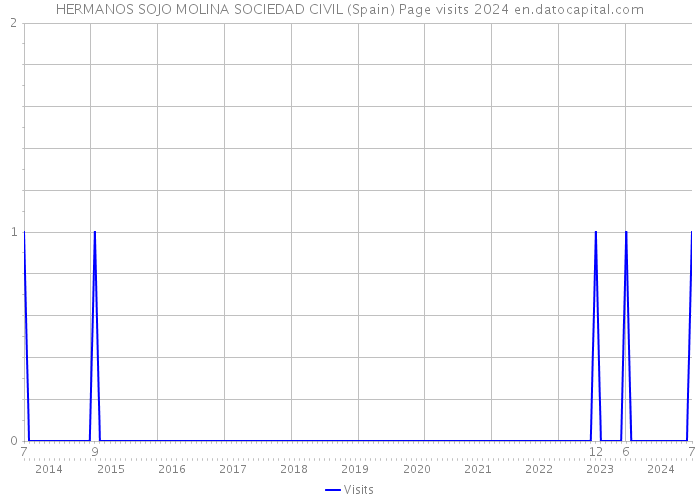 HERMANOS SOJO MOLINA SOCIEDAD CIVIL (Spain) Page visits 2024 