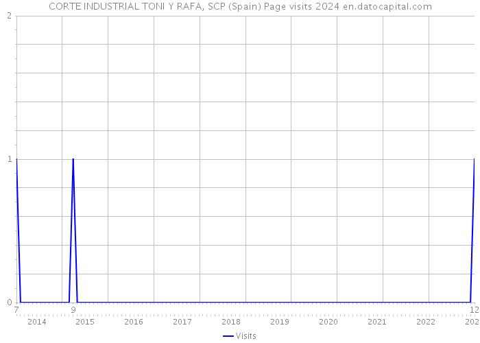 CORTE INDUSTRIAL TONI Y RAFA, SCP (Spain) Page visits 2024 