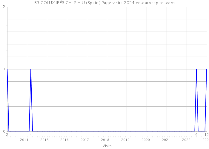 BRICOLUX IBÉRICA, S.A.U (Spain) Page visits 2024 