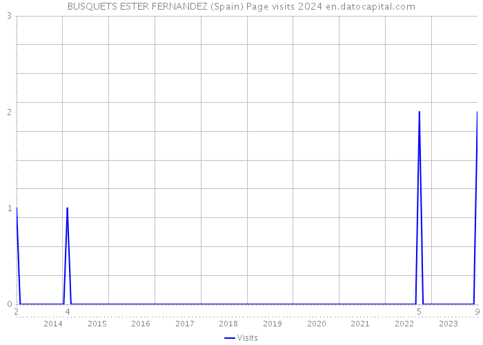 BUSQUETS ESTER FERNANDEZ (Spain) Page visits 2024 