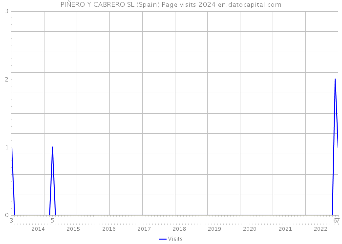 PIÑERO Y CABRERO SL (Spain) Page visits 2024 