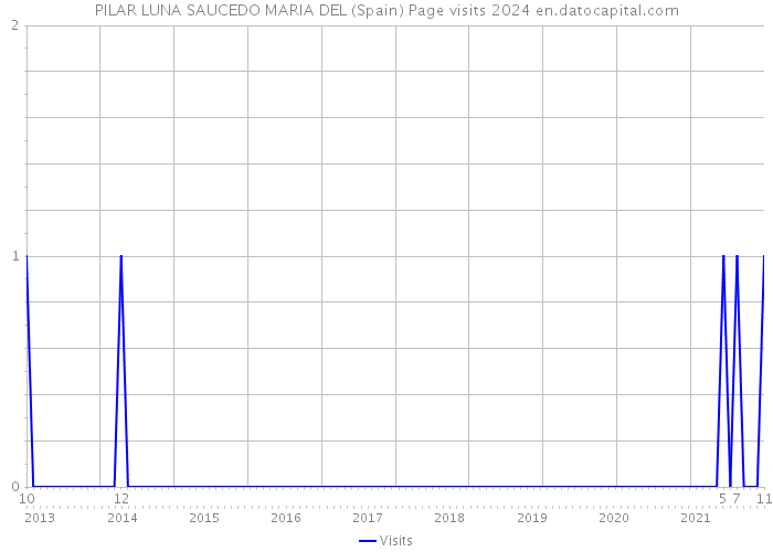 PILAR LUNA SAUCEDO MARIA DEL (Spain) Page visits 2024 