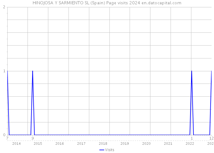 HINOJOSA Y SARMIENTO SL (Spain) Page visits 2024 