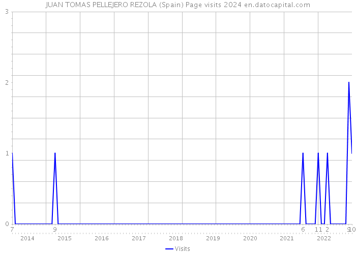 JUAN TOMAS PELLEJERO REZOLA (Spain) Page visits 2024 