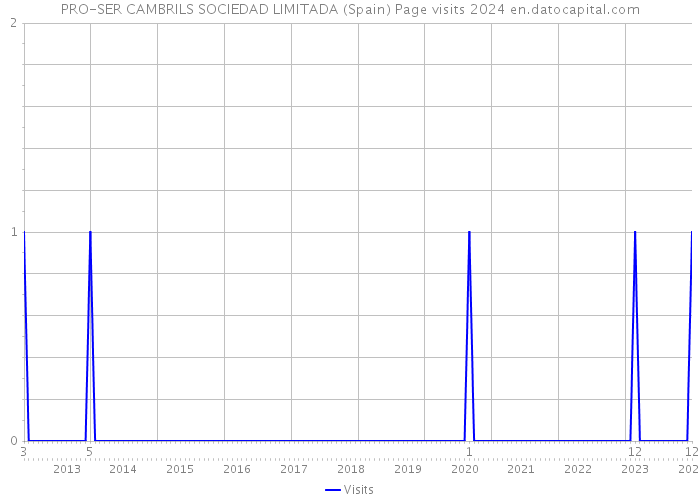 PRO-SER CAMBRILS SOCIEDAD LIMITADA (Spain) Page visits 2024 