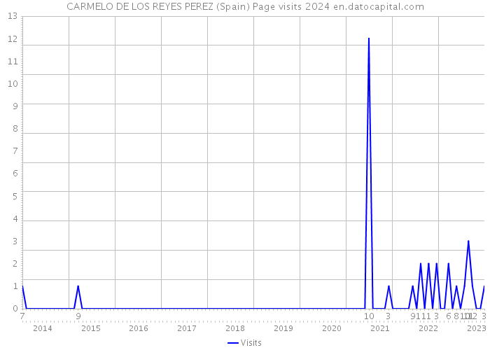 CARMELO DE LOS REYES PEREZ (Spain) Page visits 2024 