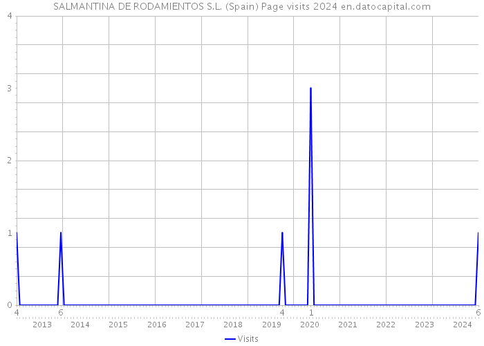 SALMANTINA DE RODAMIENTOS S.L. (Spain) Page visits 2024 