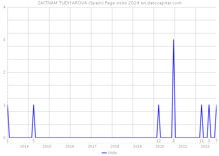 ZAITNAM TUDIYAROVA (Spain) Page visits 2024 