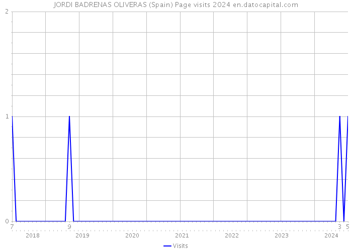 JORDI BADRENAS OLIVERAS (Spain) Page visits 2024 