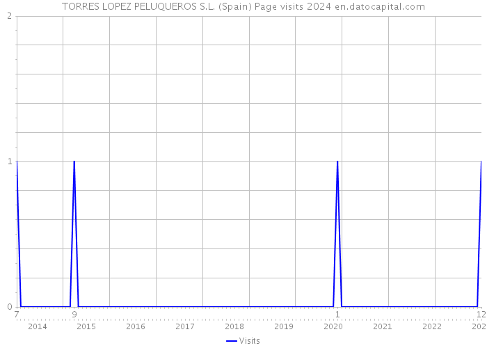 TORRES LOPEZ PELUQUEROS S.L. (Spain) Page visits 2024 
