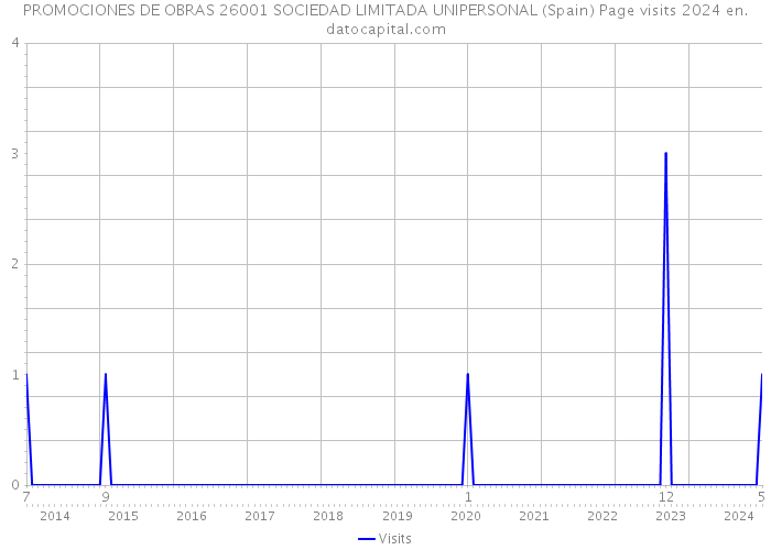 PROMOCIONES DE OBRAS 26001 SOCIEDAD LIMITADA UNIPERSONAL (Spain) Page visits 2024 