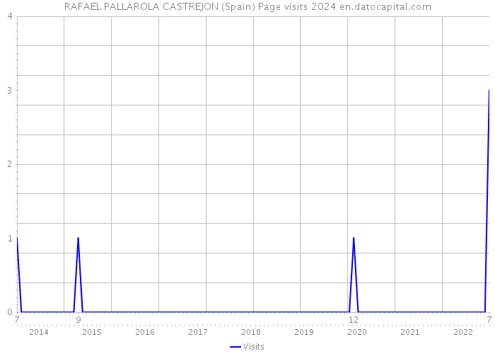 RAFAEL PALLAROLA CASTREJON (Spain) Page visits 2024 