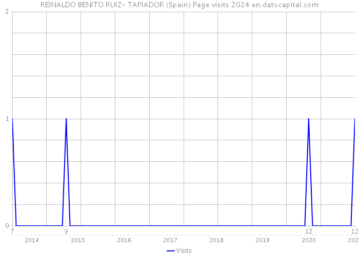 REINALDO BENITO RUIZ- TAPIADOR (Spain) Page visits 2024 