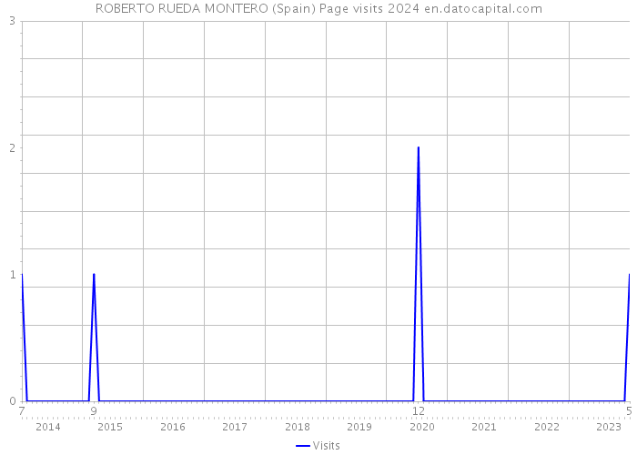 ROBERTO RUEDA MONTERO (Spain) Page visits 2024 