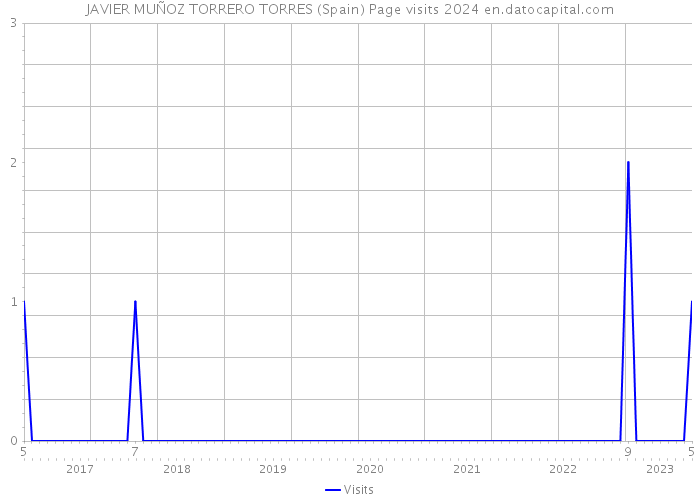 JAVIER MUÑOZ TORRERO TORRES (Spain) Page visits 2024 