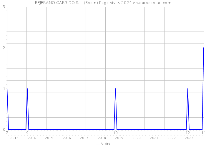 BEJERANO GARRIDO S.L. (Spain) Page visits 2024 