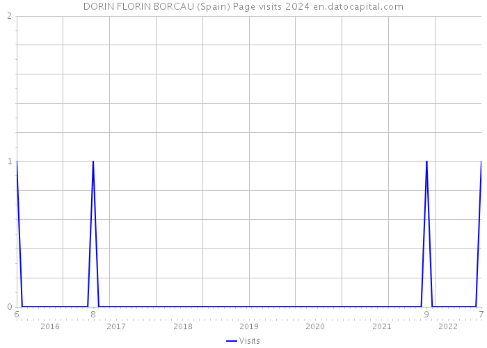 DORIN FLORIN BORCAU (Spain) Page visits 2024 