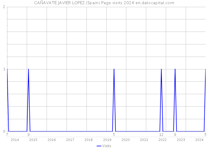 CAÑAVATE JAVIER LOPEZ (Spain) Page visits 2024 