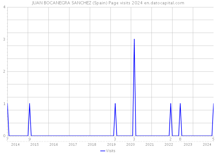 JUAN BOCANEGRA SANCHEZ (Spain) Page visits 2024 