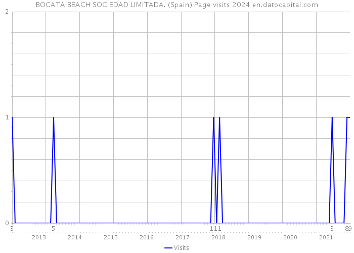 BOCATA BEACH SOCIEDAD LIMITADA. (Spain) Page visits 2024 