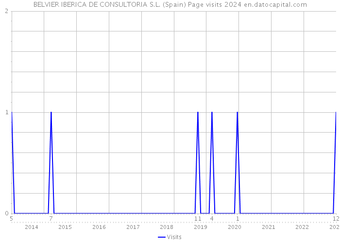 BELVIER IBERICA DE CONSULTORIA S.L. (Spain) Page visits 2024 