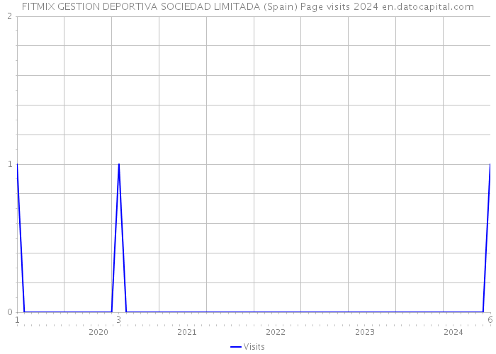 FITMIX GESTION DEPORTIVA SOCIEDAD LIMITADA (Spain) Page visits 2024 