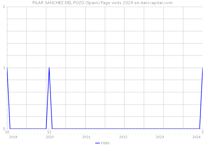 PILAR SANCHEZ DEL POZO (Spain) Page visits 2024 