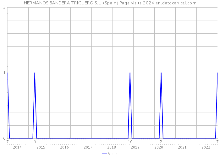 HERMANOS BANDERA TRIGUERO S.L. (Spain) Page visits 2024 