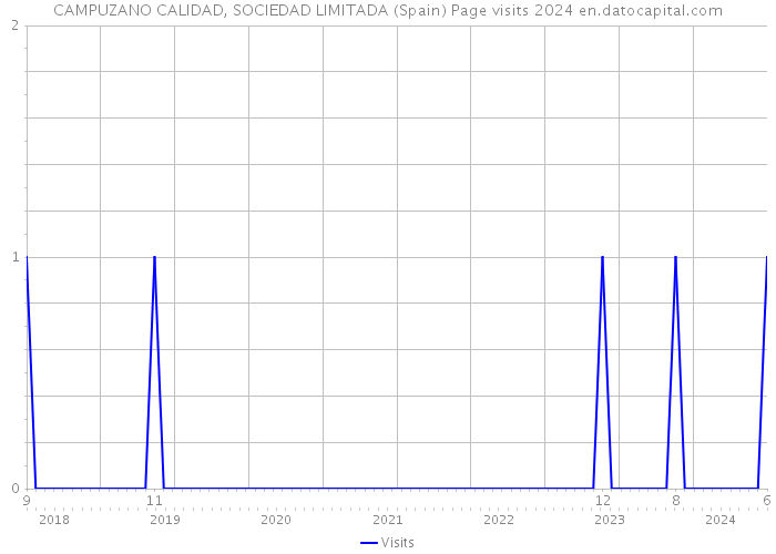 CAMPUZANO CALIDAD, SOCIEDAD LIMITADA (Spain) Page visits 2024 