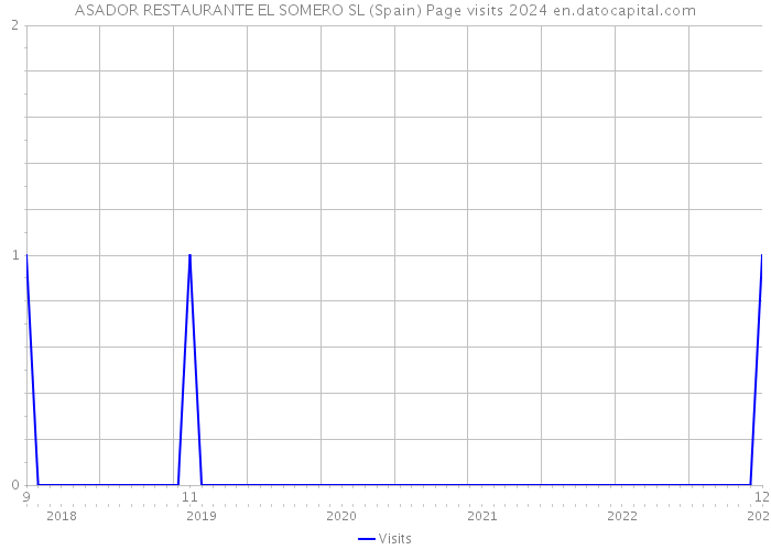 ASADOR RESTAURANTE EL SOMERO SL (Spain) Page visits 2024 