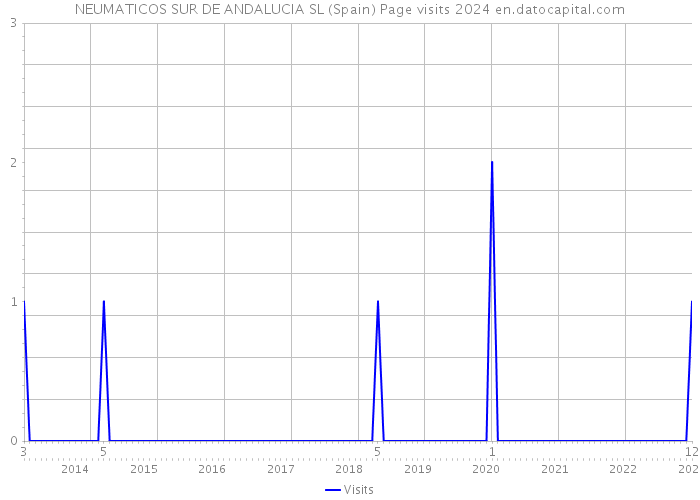 NEUMATICOS SUR DE ANDALUCIA SL (Spain) Page visits 2024 