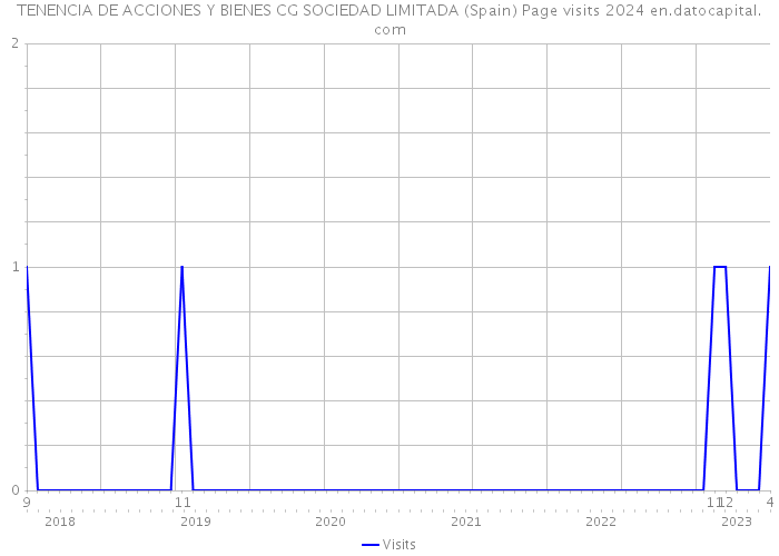 TENENCIA DE ACCIONES Y BIENES CG SOCIEDAD LIMITADA (Spain) Page visits 2024 