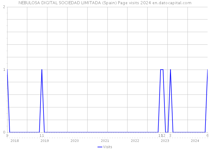 NEBULOSA DIGITAL SOCIEDAD LIMITADA (Spain) Page visits 2024 
