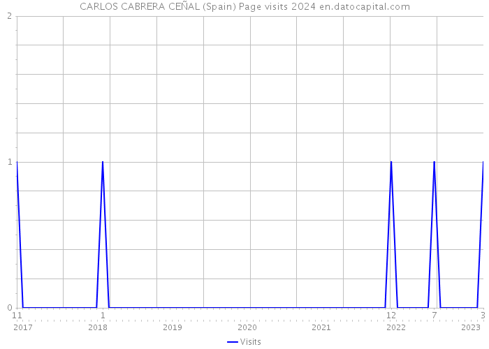 CARLOS CABRERA CEÑAL (Spain) Page visits 2024 