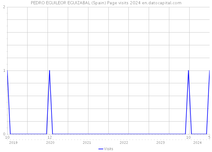 PEDRO EGUILEOR EGUIZABAL (Spain) Page visits 2024 