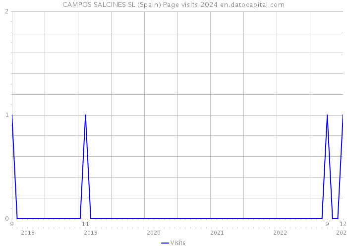 CAMPOS SALCINES SL (Spain) Page visits 2024 