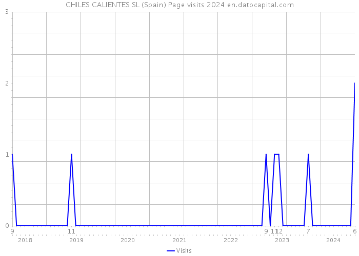 CHILES CALIENTES SL (Spain) Page visits 2024 